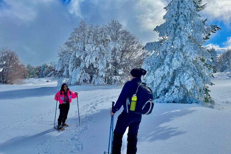 Piano Provenzana: Guided Mt. Etna Snowshoeing Trek