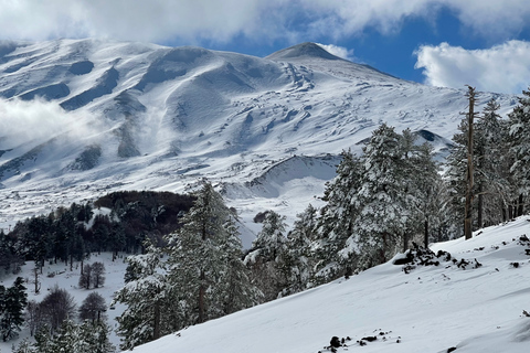 Piano Provenzana: Guided Mt. Etna Snowshoeing Trek