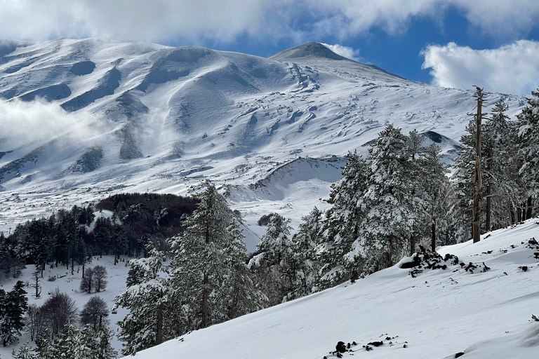 Piano Provenzana: Guided Mt. Etna Snowshoeing Trek