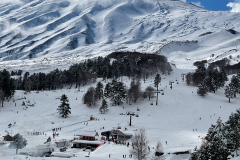Piano Provenzana: Guided Mt. Etna Snowshoeing Trek