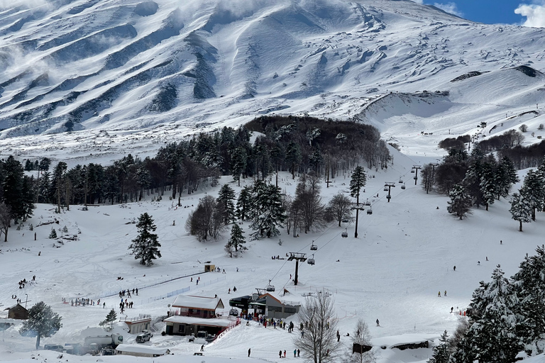 Piano Provenzana: Guided Mt. Etna Snowshoeing Trek
