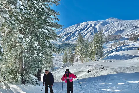 Piano Provenzana: Escursione guidata con le racchette da neve sull'Etna