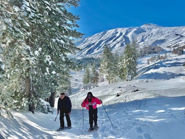 Piano Provenzana: Guided Mt. Etna Snowshoeing Trek