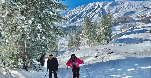 Piano Provenzana: Guided Mt. Etna Snowshoeing Trek