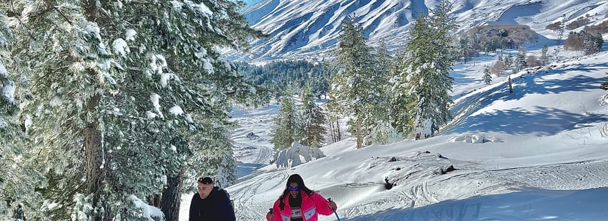Piano Provenzana : randonnée guidée en raquettes sur l'Etna