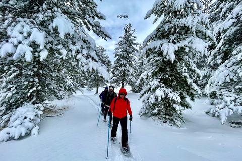 Piano Provenzana: Guided Mt. Etna Snowshoeing Trek