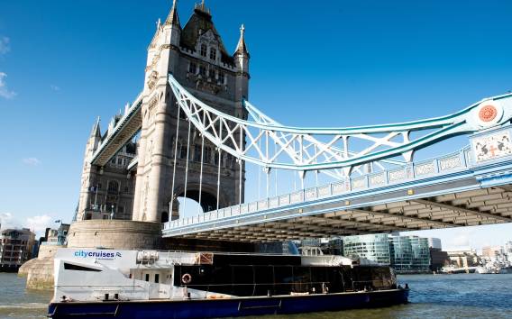 London: Westminster nach Greenwich Einzelfahrkarte