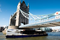 Londres, Westminster à Greenwich billet de croisière unique - Hizvo
