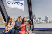 Londres, Westminster à Greenwich billet de croisière unique - Hizvo
