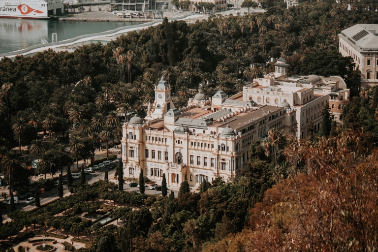 Visita privada a pie por Málaga