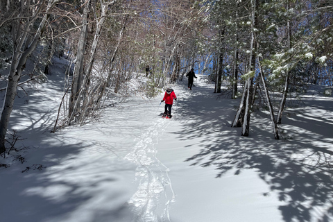 Piano Provenzana: Guided Mt. Etna Snowshoeing Trek