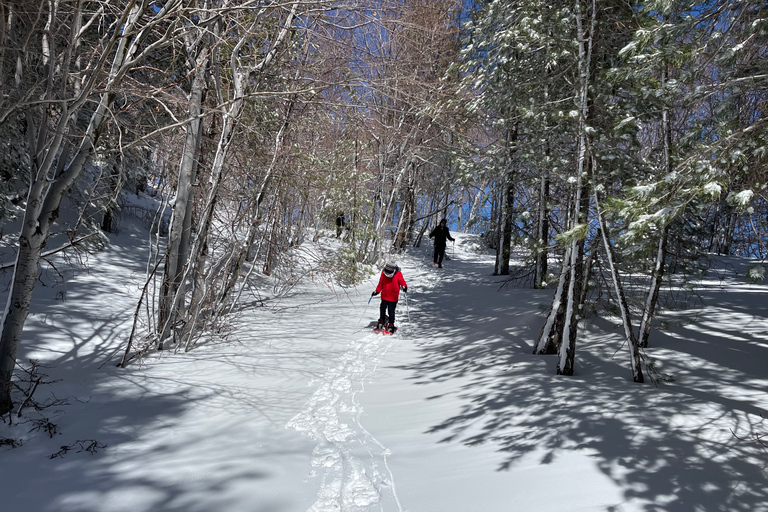 Piano Provenzana: Guided Mt. Etna Snowshoeing Trek