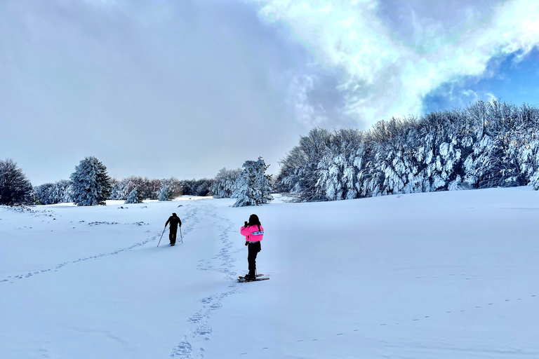 Piano Provenzana: Guided Mt. Etna Snowshoeing Trek