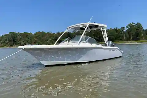Hilton Head: 2-stündige private Delphin Tour