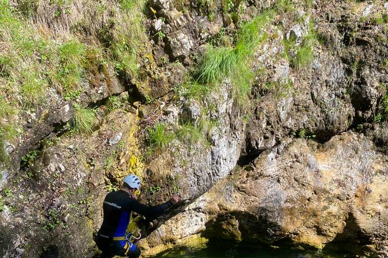 Bovec: extreme canyoning tour in Predelica gorge (level 3)