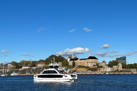 Oslo : Visite guidée de la ville en autocar avec croisière sur le fjord