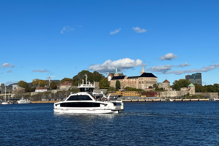 Oslo : Visite guidée de la ville en autocar avec croisière sur le fjord