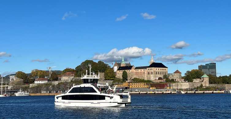 Oslo: Voden ogled mestnih znamenitosti z avtobusom s križarjenjem po Fjordu
