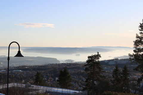 Oslo: tour guidato delle attrazioni della città in pullman con crociera sui fiordi