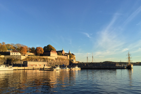 Oslo: rondleiding door de stad hoogtepunten per bus met fjordcruise