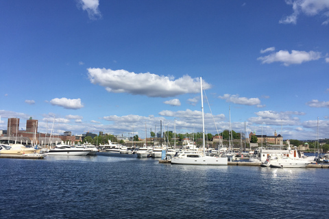 Oslo: rondleiding door de stad hoogtepunten per bus met fjordcruise