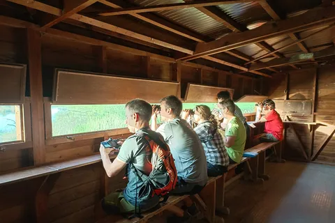 Tarragona: Southern Delta Birdwatching Private Tour