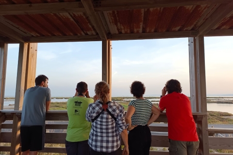 Tarragona: Private Tour zur Vogelbeobachtung im Süddelta