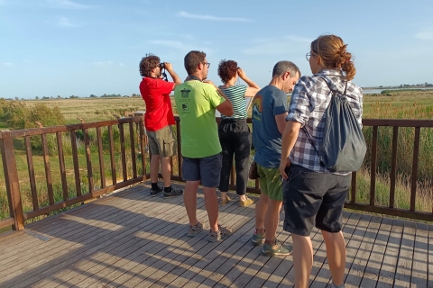 Tarragone : Visite privée d'observation des oiseaux dans le delta du sud