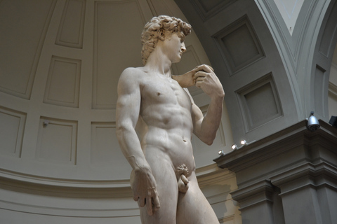 Florence: Accademia and Uffizi Gallery Guided Tour Tour in Spanish