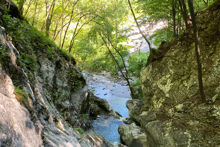 Bovec: Eenvoudige Canyoning Tour in Sušec (niveau 1) + fotoBovec, Slovenië: eenvoudig canyoning in Susec (niveau 1) + foto's