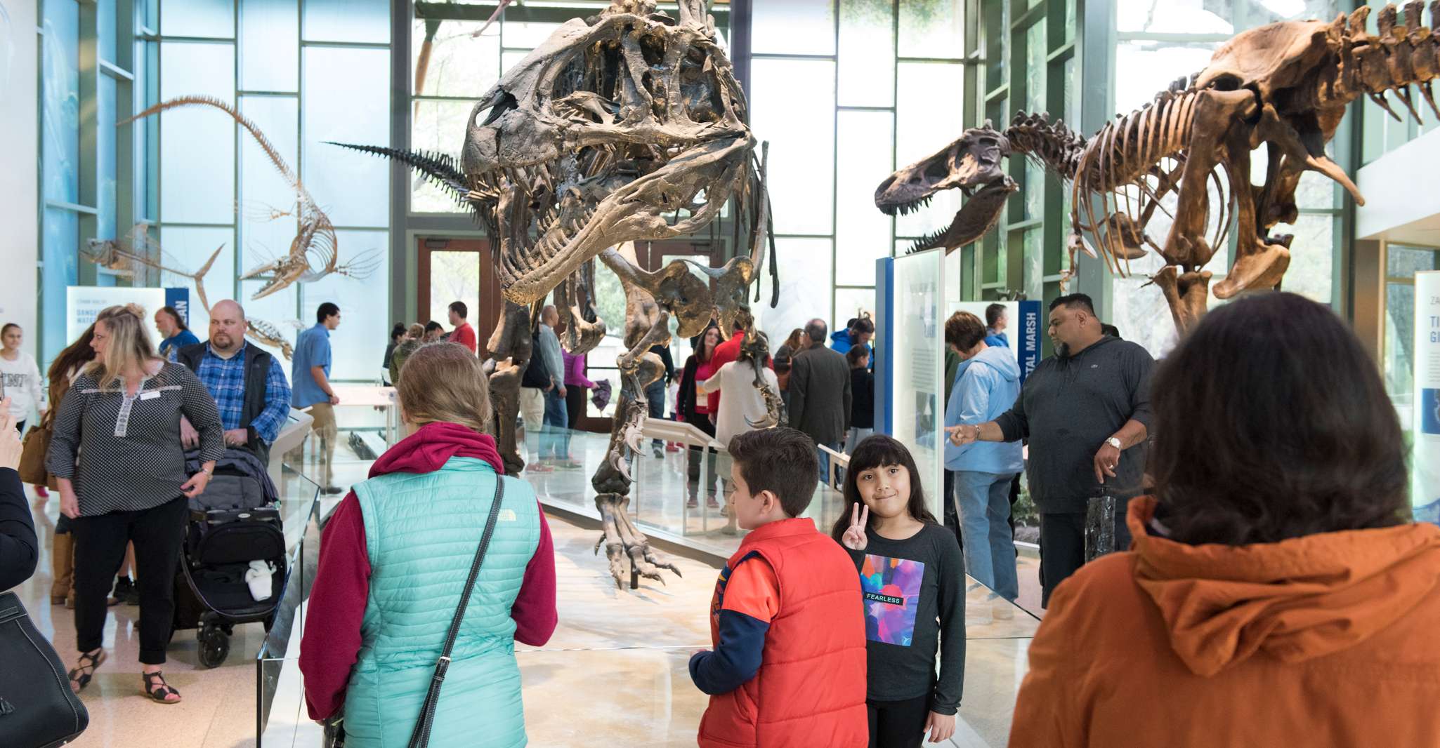 San Antonio, Biglietto d'ingresso al Museo Witte - Hizvo