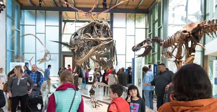 San Antonio: Witte Museum Admission Ticket photo 4