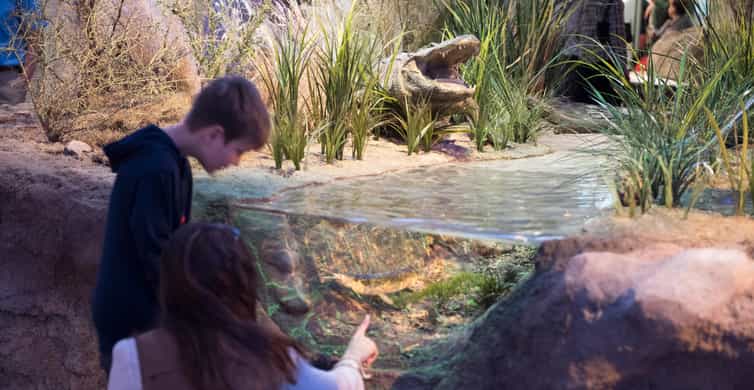 San Antonio: Witte Museum Admission Ticket photo 3