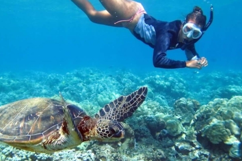 Von Cancun aus: Geführte Halbtagestour: Tulum, Schnorcheln und CenoteNur Akumal