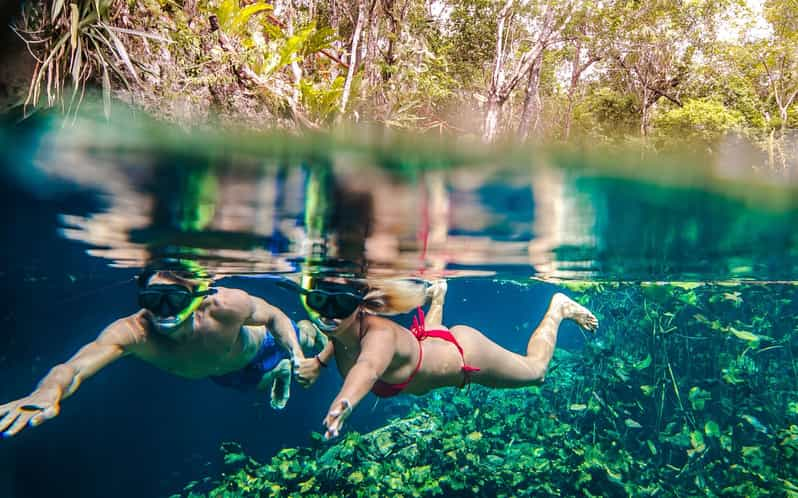 half day cenote tour cancun