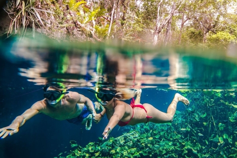 Van Cancun: rondleiding van een halve dag: Tulum, snorkelen en cenote