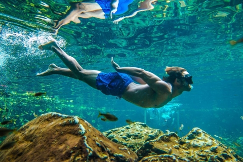 Z Cancun: Półdniowa wycieczka z przewodnikiem: Tulum, Snorkel i CenoteAkumal i Cenote