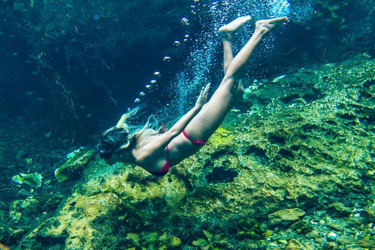 Van Cancun: rondleiding van een halve dag: Tulum, snorkelen en cenoteAkumal en Cenote