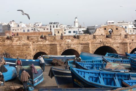 Da Agadir: gita guidata di un giorno a Essaouira