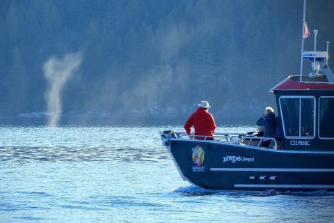 Campbell River: Salish Sea Whale Watching Adventure
