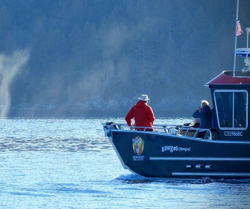Campbell River: Salish Sea Whale Watching Adventure