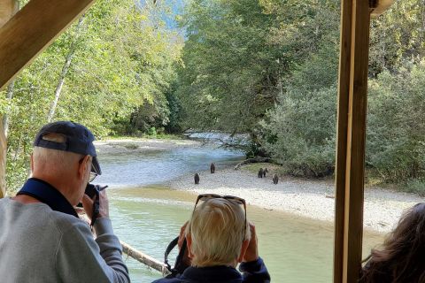 Vancouver Island: Grizzly Bears of Bute Inlet in Orford Bay