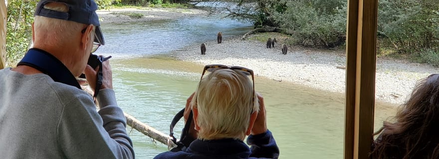Campbell River : Observation des ours grizzlis avec déjeuner