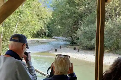 Campbell River: Grizzly Bear-Watching Tour with Lunch