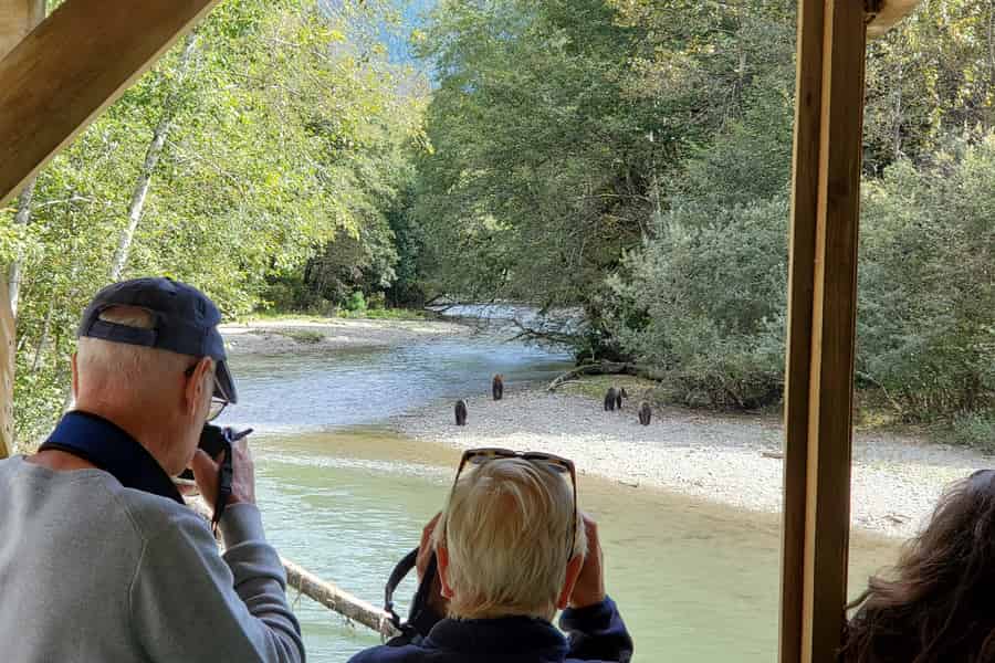Campbell River: Grizzlybär-Beobachtungstour mit Mittagessen. Foto: GetYourGuide Campbell River: Grizzlybär-Beobachtungstour mit Mittagessen. Foto: GetYourGuide