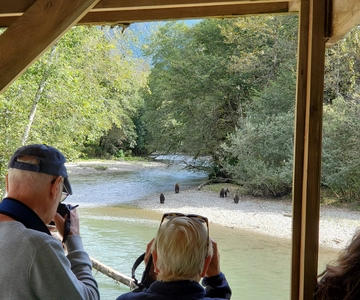 Campbell River: Grizzly Bear-Watching Tour with Lunch