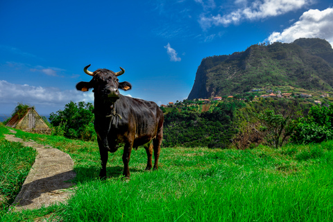 Madeira: privérondleiding noordkust | Volledige dagGrote privérondleiding op het eiland Madeira, noordkust