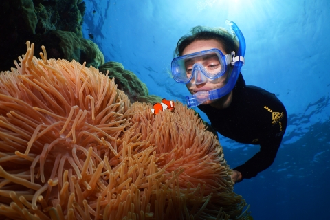 Silversonic Great Barrier Reef Duik- en snorkelavontuurSilversonic Great Barrier Reef met 1 introductieduik