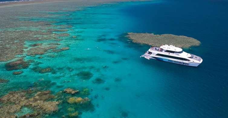 Port Douglas: Silversonic Great Barrier Reef Dive & Snorkel | GetYourGuide