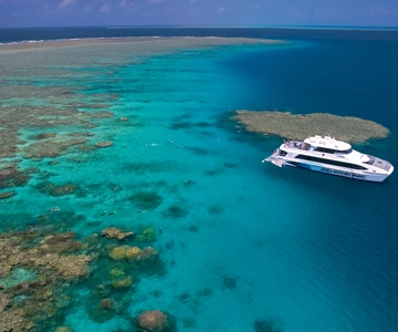 Port Douglas: Immersione e snorkeling Silversonic nella Grande Barriera Corallina